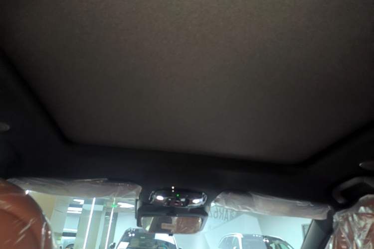 Used Chery Tiggo 9 - 2027 2.0T Dual-Clutch Two-Wheel Drive Luxury Edition Headliner
