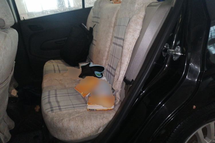 Used Chevrolet Aveo Sonic 2011 Sedan 1.4L MT SL Left Rear Seat