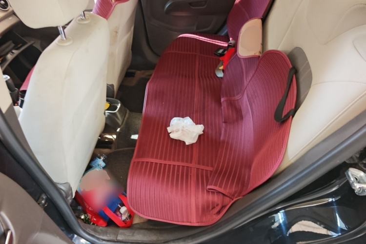 Used Chevrolet Aveo Sonic 2011 Sedan 1.4L Manual Transmission SE Left Rear Seat