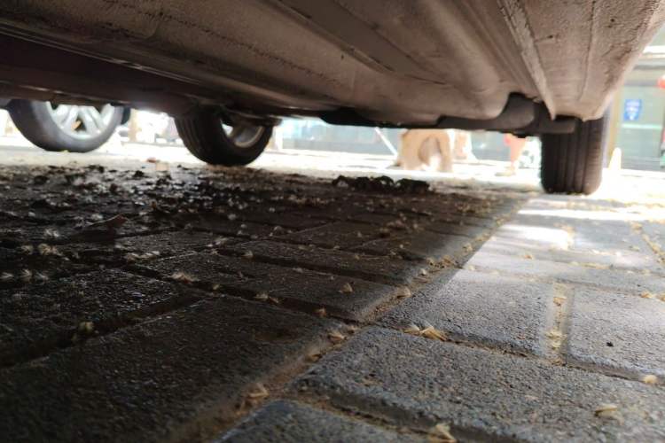 Used Chevrolet Aveo Sonic 2011 Sedan 1.4L Manual Transmission SE Chassis Front Left