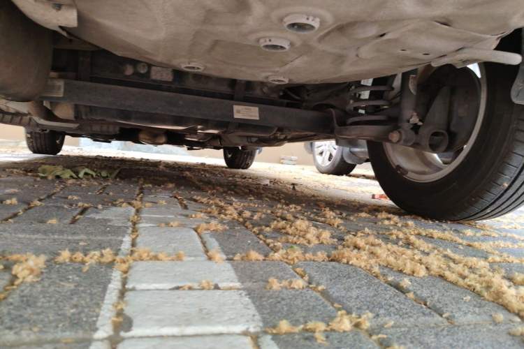 Used Chevrolet Aveo Sonic 2011 Sedan 1.4L Manual Transmission SE Chassis Rear