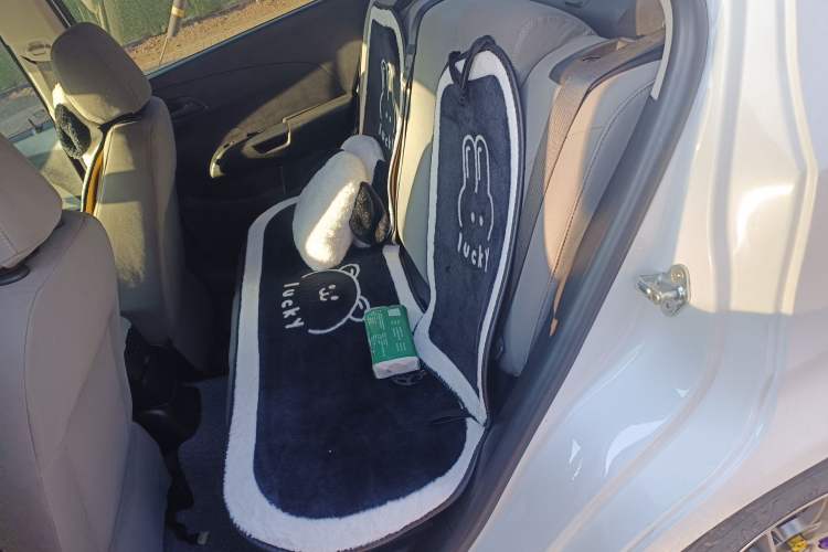 Used Chevrolet Aveo Sonic 2011 Sedan 1.4L MT SL Left Rear Seat