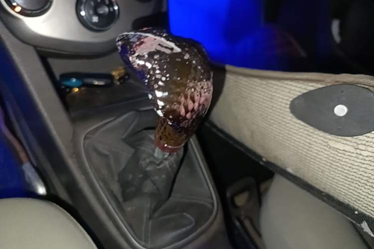 Used Chevrolet Aveo Sonic 2011 Sedan 1.4L Manual Transmission SE Gear Lever