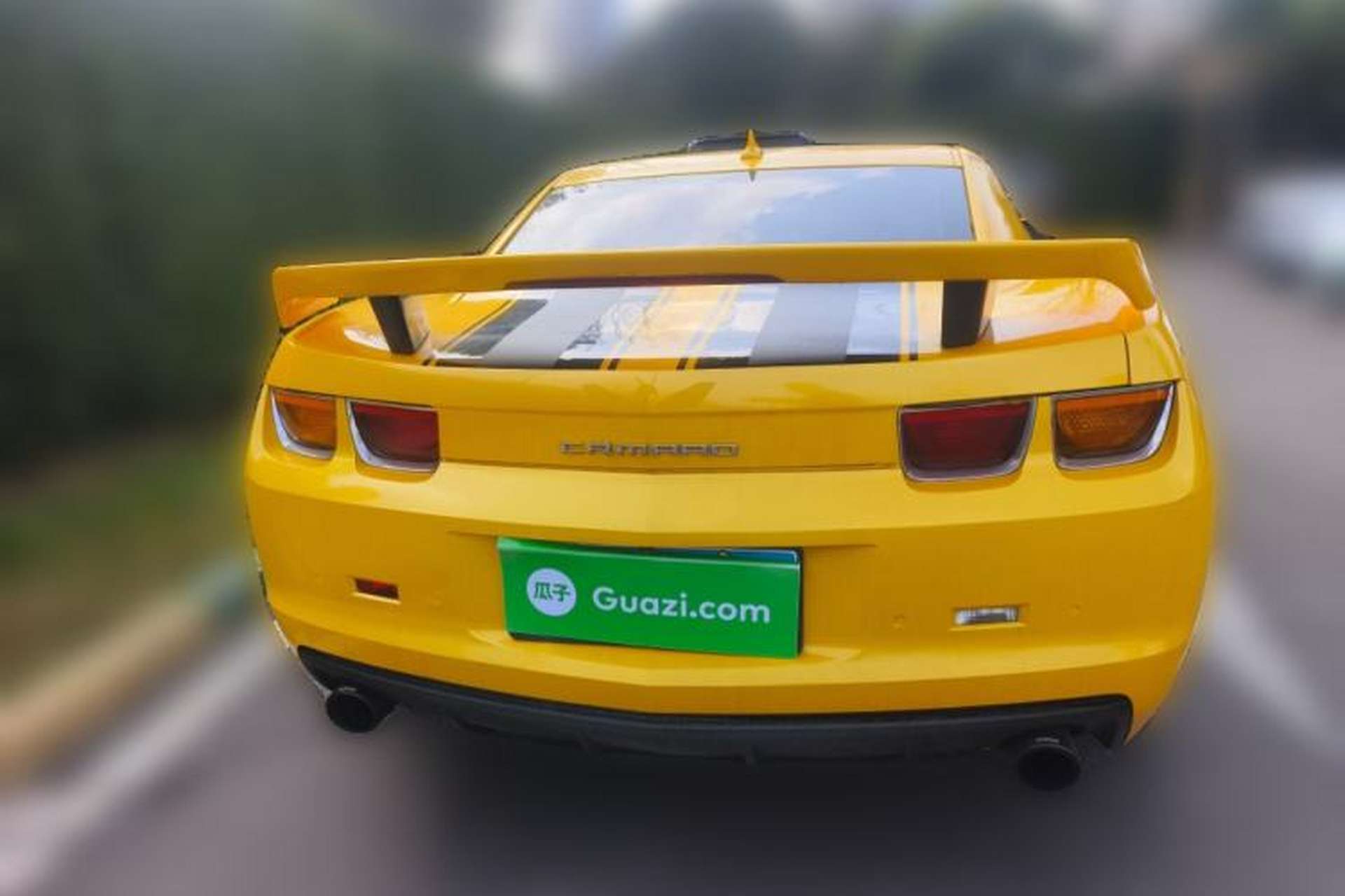 Used Chevrolet Camaro 2012 3.6L Legendary Performance Edition Rear