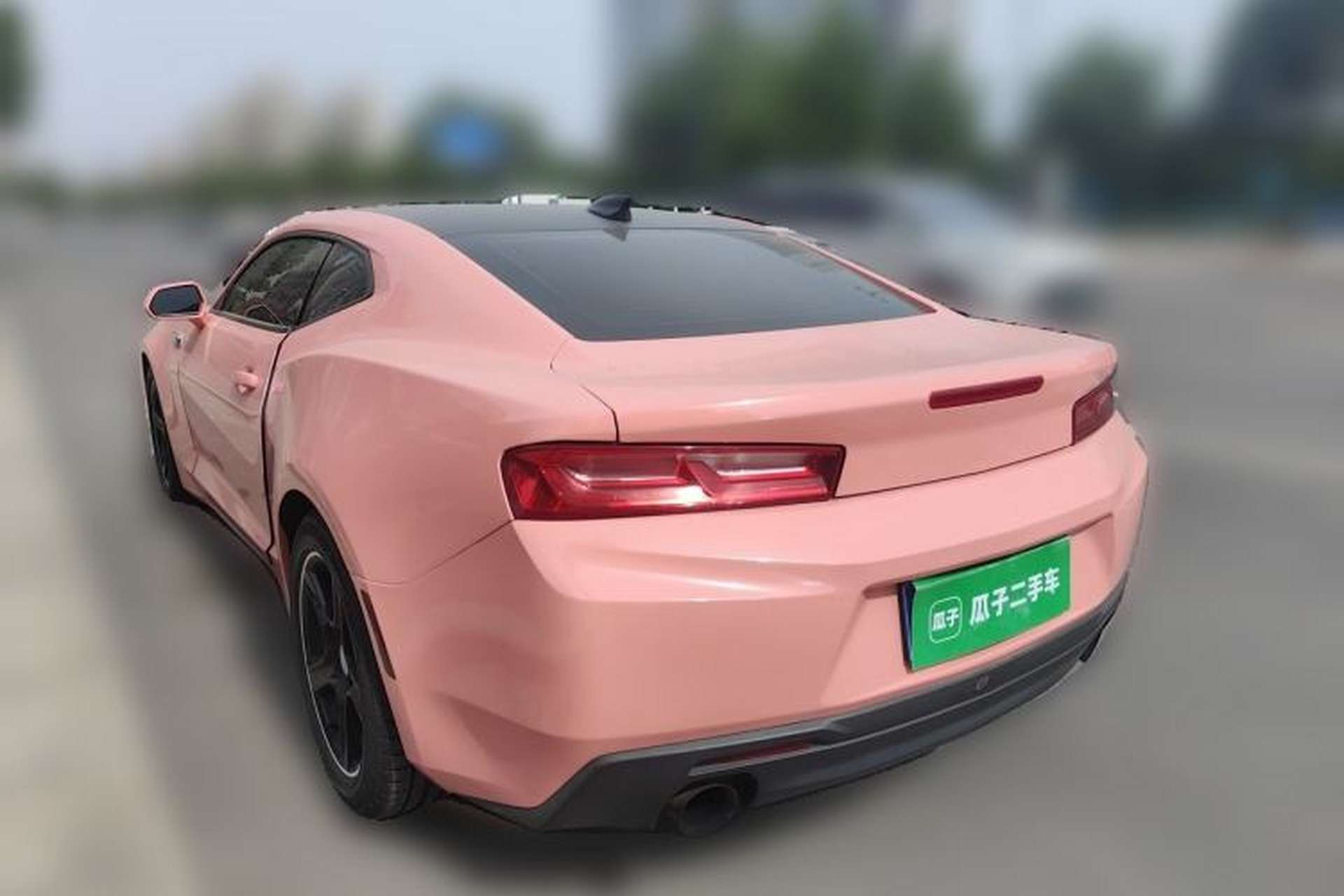 Used Chevrolet Camaro  Rear Left 45 Deg
