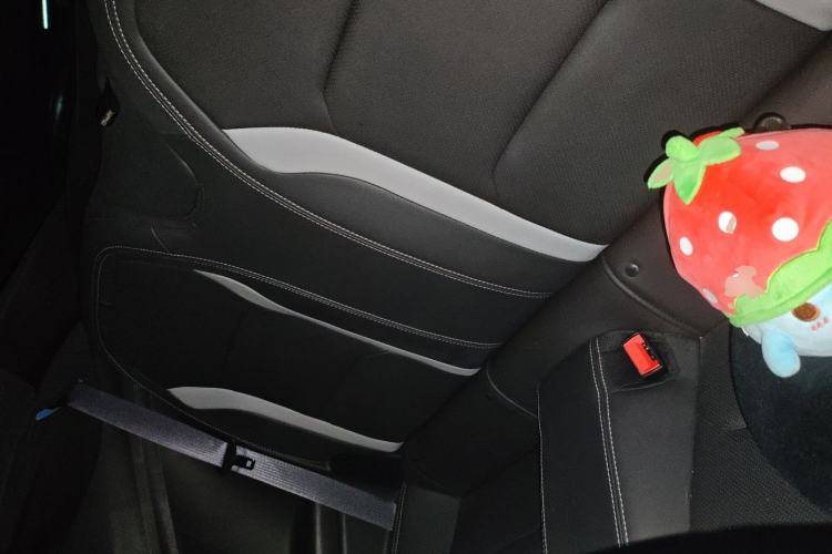Used Chevrolet Camaro 2017 2.0T RS Left Rear Seat