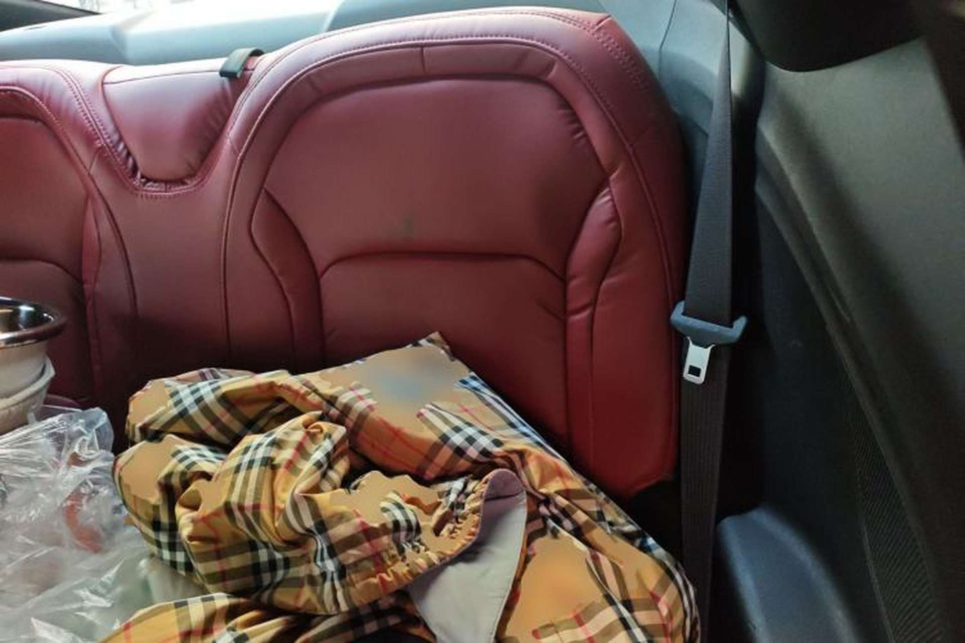 Used Chevrolet Camaro 2017 2.0T RS Left Rear Seat