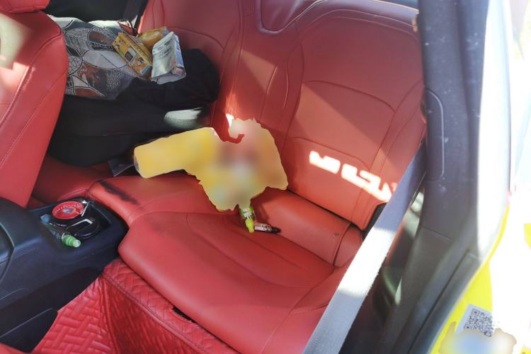 Used Chevrolet Camaro 2017 2.0T RS Left Rear Seat