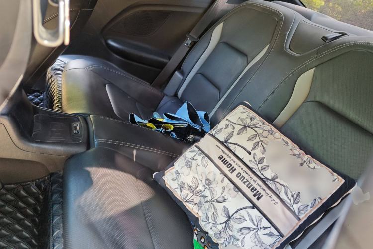 Used Chevrolet Camaro 2017 2.0T RS Left Rear Seat