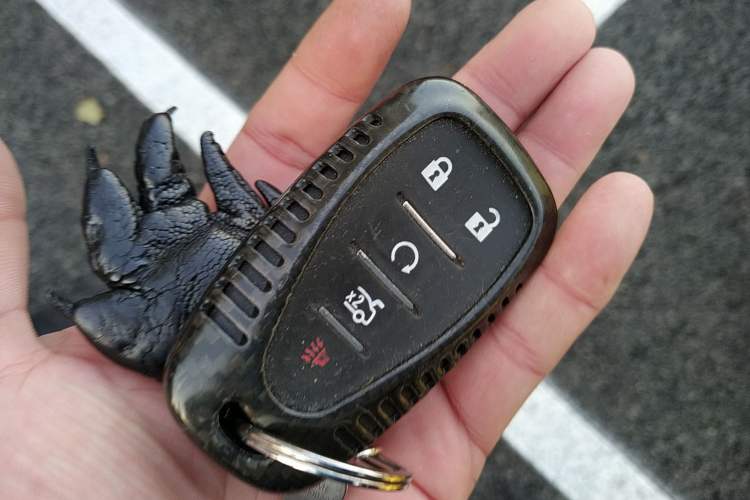 Used Chevrolet Camaro 2017 2.0T RS Vehicle Key