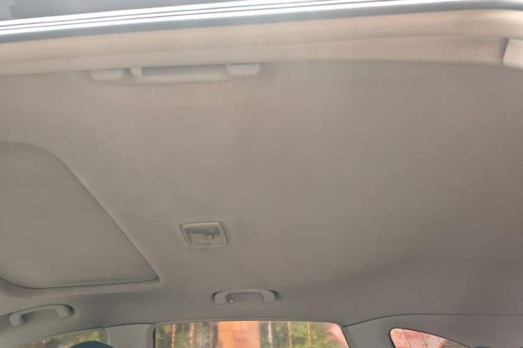 Used Chevrolet Captiva 2011 2.4 AT 5-Seater Comfort Edition Headliner