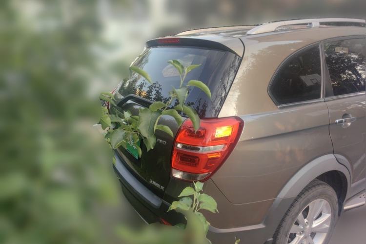 Used Chevrolet Captiva 2015 2.4L 4x4 Flagship Edition 7-Seater Rear