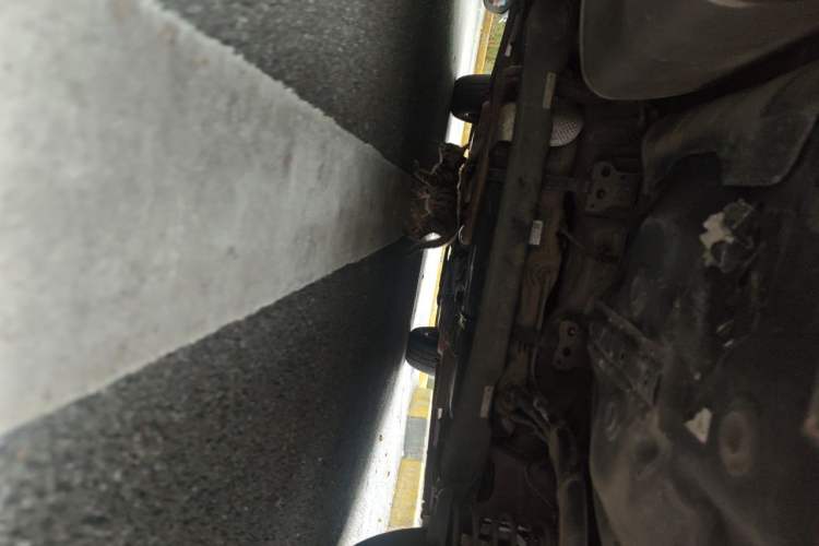 Used Chevrolet Cavalier 2016 1.5L Automatic Xinyue Edition Chassis Rear