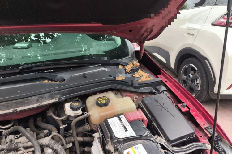 Used Chevrolet Cavalier 2016 1.5L Manual Enjoyment Edition Engine Bay Left