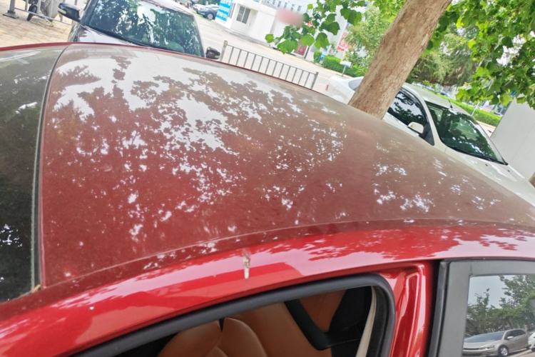 Used Chevrolet Cavalier 2016 1.5L Automatic Enjoyment Edition Roof