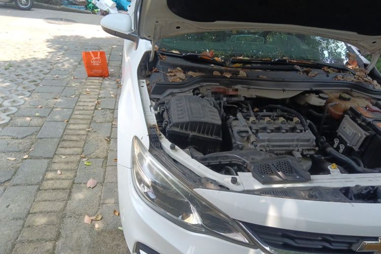 Used Chevrolet Cavalier 2016 1.5L Automatic Enjoyment Edition Engine Bay Right