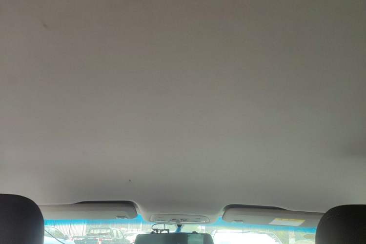 Used Chevrolet Cavalier 2016 1.5L Manual Enjoyment Edition Headliner