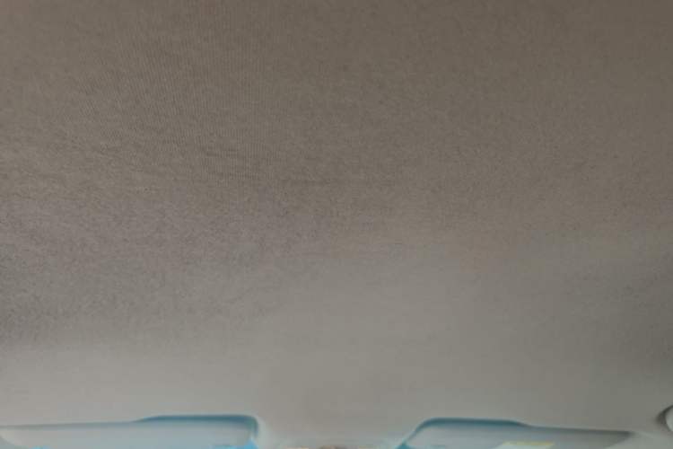 Used Chevrolet Cavalier 2016 1.5L Manual Enjoyment Edition Headliner