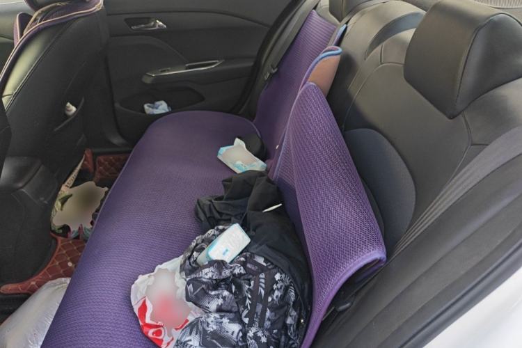 Used Chevrolet Cavalier 2016 1.5L Manual Xinyue Edition Left Rear Seat