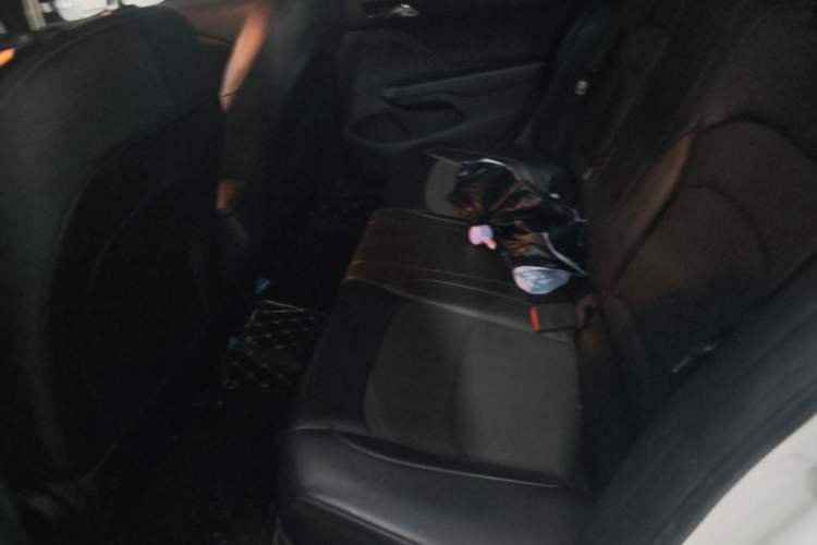 Used Chevrolet Cavalier 2016 1.5L Manual Xinyue Edition Left Rear Seat
