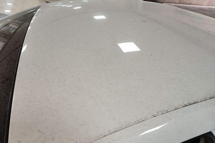 Used Chevrolet Cavalier 2016 1.5L Manual Enjoyment Edition Roof