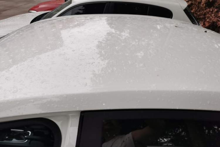 Used Chevrolet Cavalier 2016 1.5L Automatic Enjoyment Edition Roof