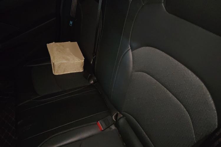 Used Chevrolet Cavalier 2018 320 Automatic Xinyue Edition Left Rear Seat