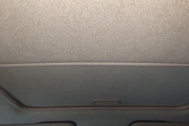 Used Chevrolet Cavalier 2018 320 Automatic Xinyue Edition Headliner