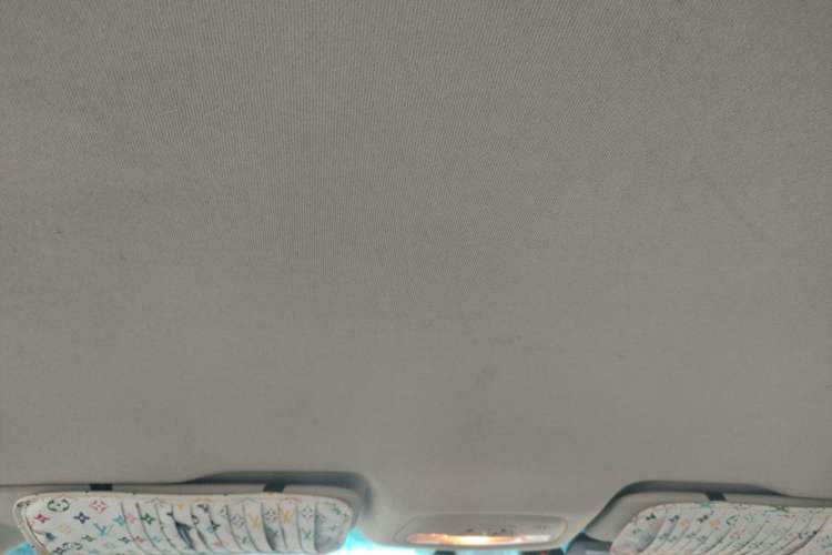 Used Chevrolet Cavalier 2018 320 Manual Enjoyment Edition Headliner