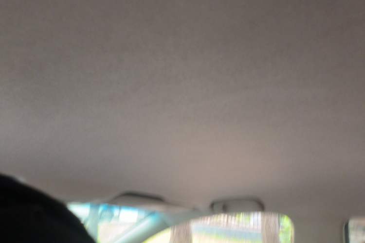 Used Chevrolet Cavalier 2018 320 Manual Enjoyment Edition Headliner