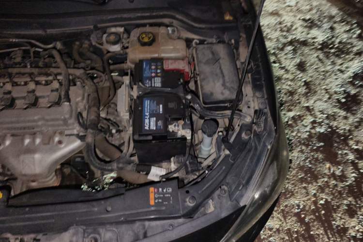 Used Chevrolet Cavalier 2019 320 Manual Xinyue Edition Engine Bay Left