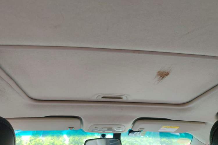 Used Chevrolet Cavalier 2019 320 Automatic Xinyue Edition Headliner