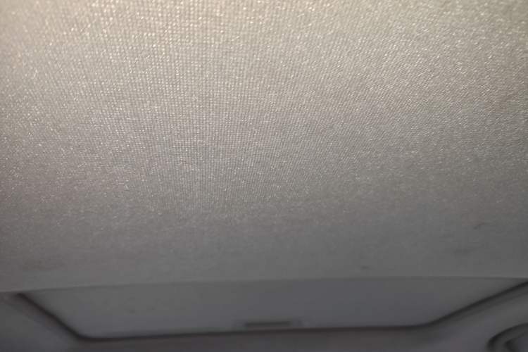 Used Chevrolet Cavalier 2019 320 Automatic Xinyue Edition Headliner