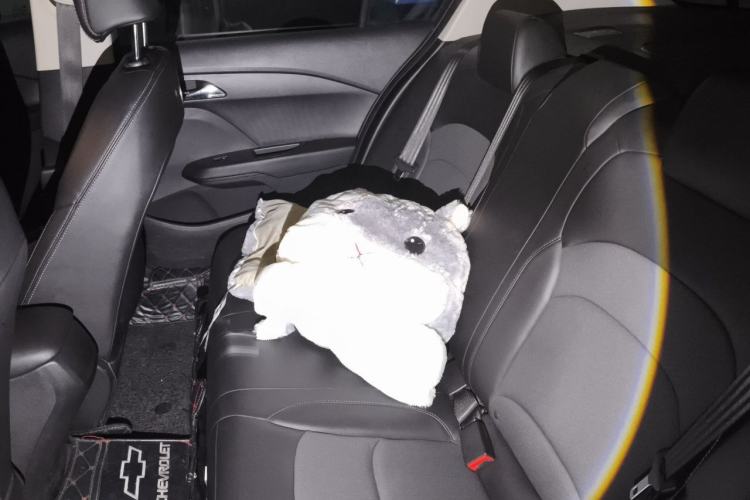 Used Chevrolet Cavalier 2019 320 Automatic Xinyue Edition Left Rear Seat
