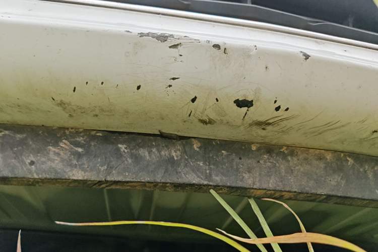Used Chevrolet Cavalier 2019 320 Manual Xinyue Edition Chassis Front