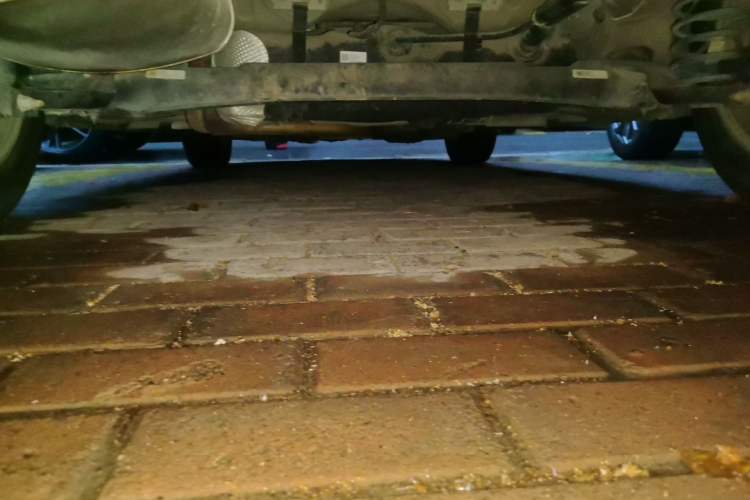 Used Chevrolet Cavalier 2019 320 Automatic Xinyue Edition Chassis Rear