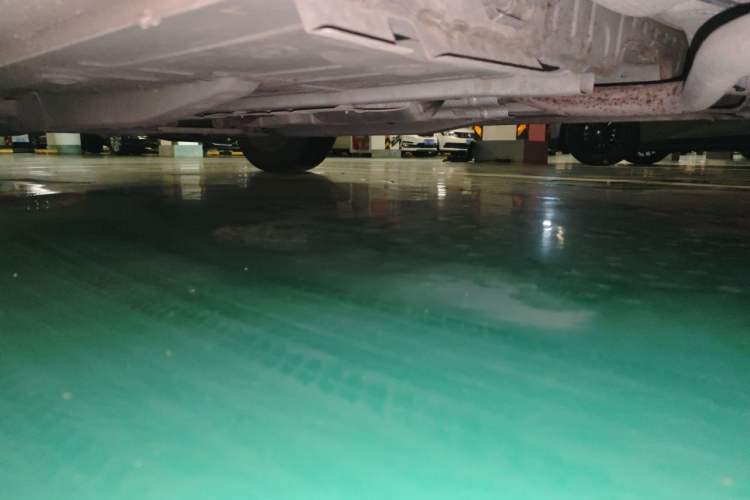 Used Chevrolet Cavalier 2019 320 Automatic Xinyue Edition Chassis Rear Left