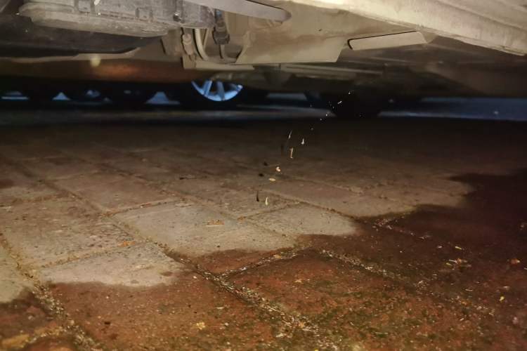 Used Chevrolet Cavalier 2019 320 Automatic Xinyue Edition Chassis Rear Right