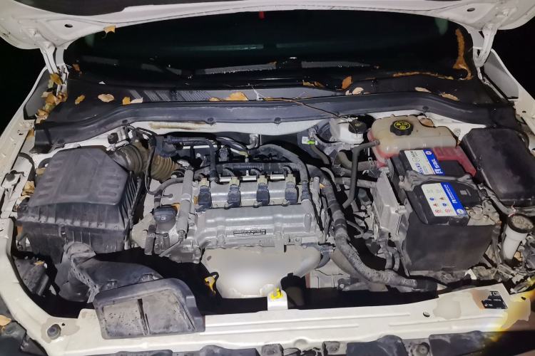 Used Chevrolet Cavalier 2019 320 Automatic Xinyue Edition Engine Bay