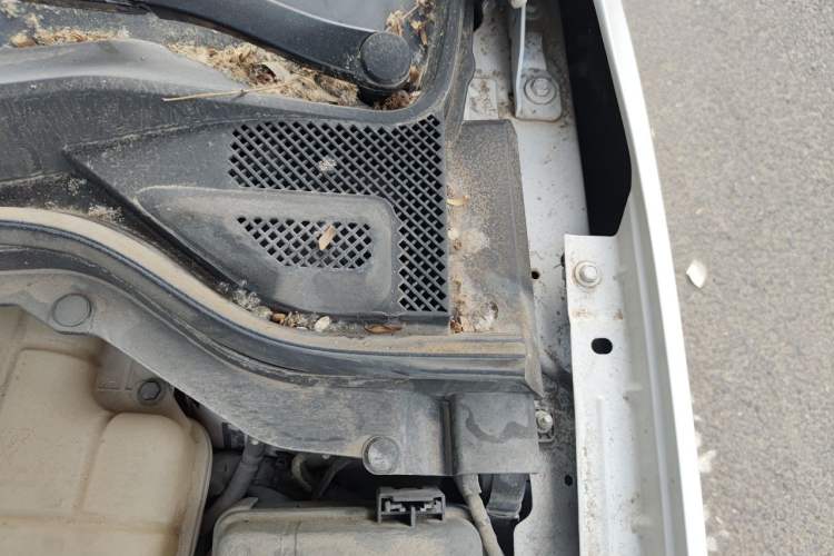Used Chevrolet Cavalier 2019 320 Manual Enjoyment Edition Engine Bay Left
