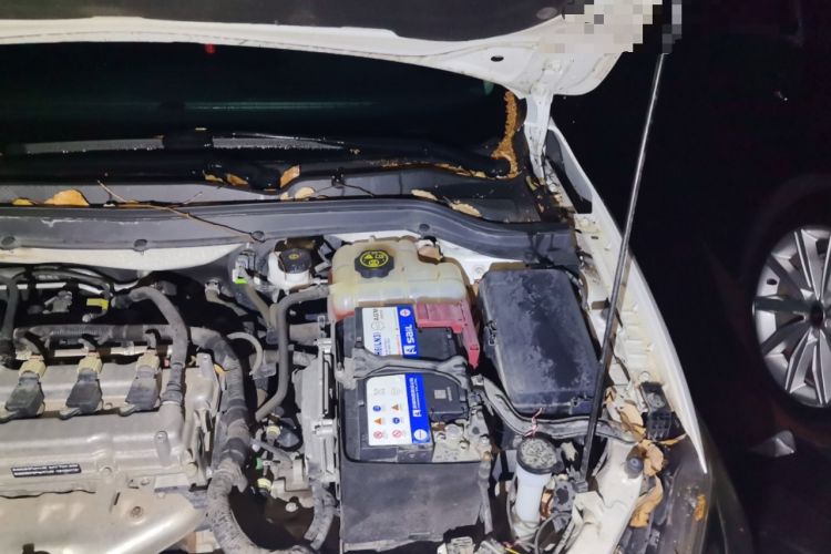 Used Chevrolet Cavalier 2019 320 Automatic Xinyue Edition Engine Bay Left