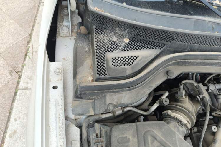 Used Chevrolet Cavalier 2019 320 Manual Enjoyment Edition Engine Bay Right