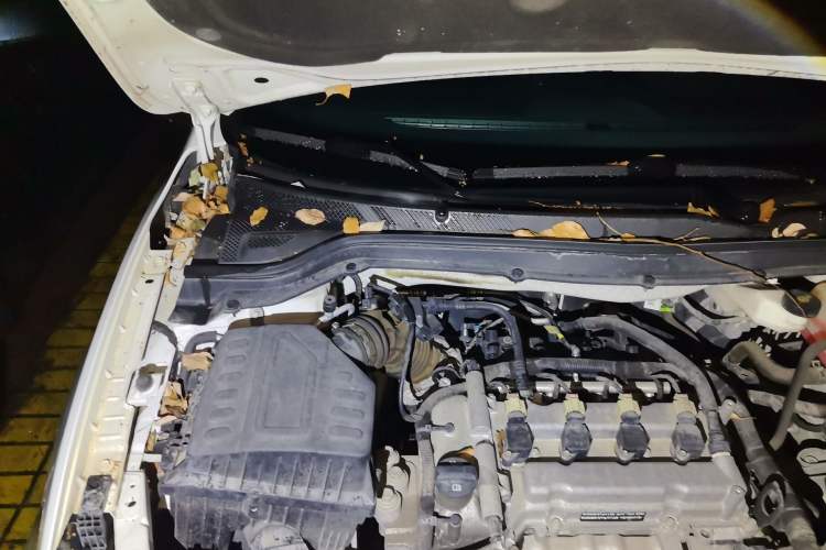 Used Chevrolet Cavalier 2019 320 Automatic Xinyue Edition Engine Bay Right