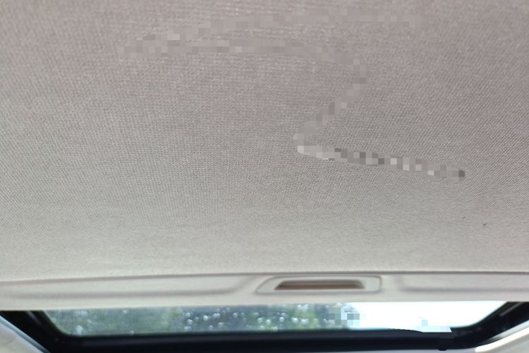 Used Chevrolet Cavalier 2019 325T Dual-Clutch Xinyue Edition Headliner