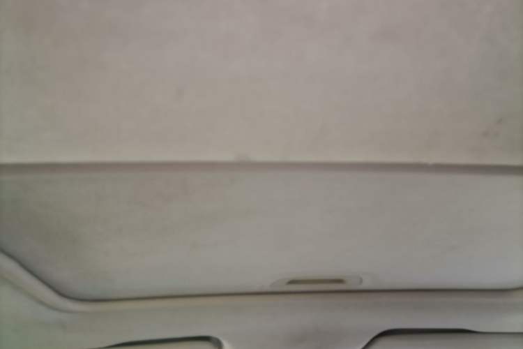 Used Chevrolet Cavalier 2019 320 Automatic Xinyue Edition Headliner