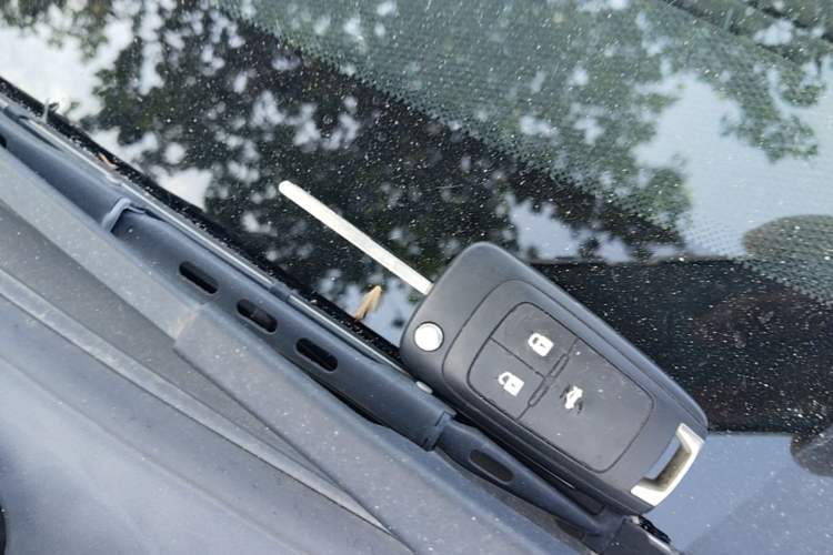 Used Chevrolet Cavalier 2019 320 Automatic Enjoyment with Sunroof Interior 1