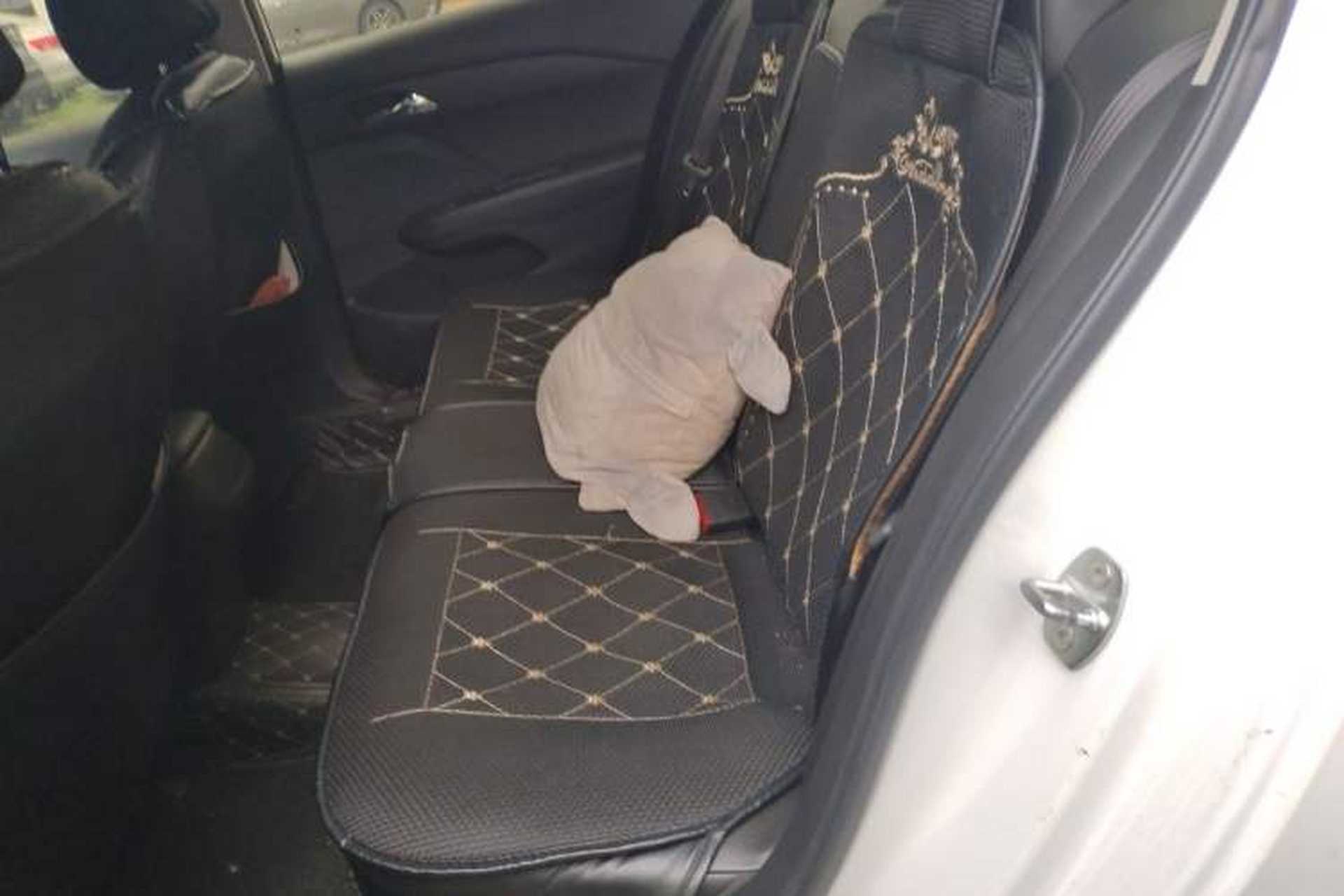 Used Chevrolet Cavalier 2019 320 Automatic Xinyue Edition Left Rear Seat