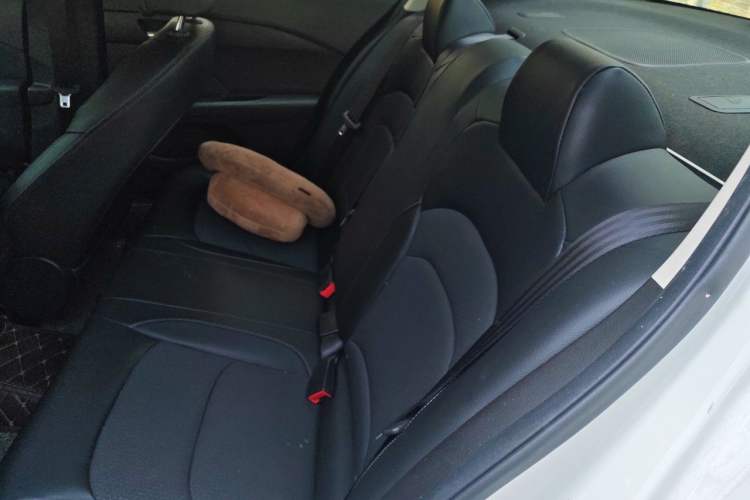 Used Chevrolet Cavalier 2019 320 Manual Xinyue Edition Left Rear Seat
