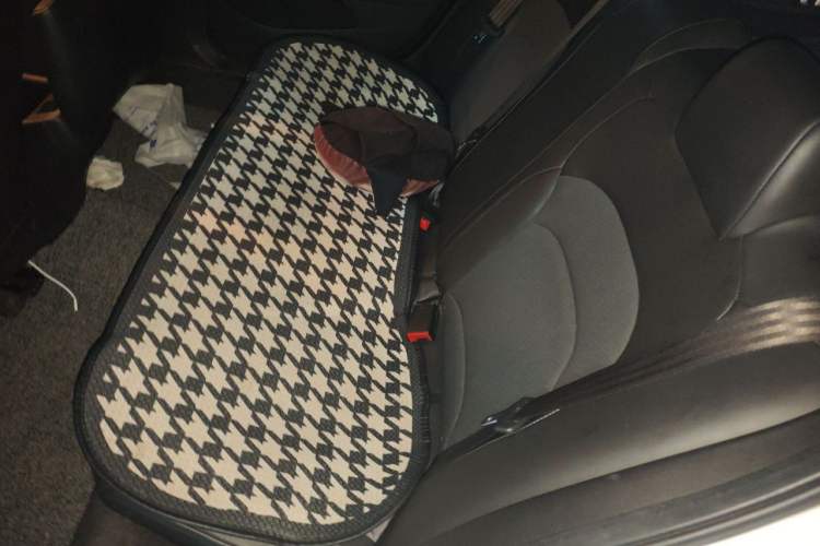 Used Chevrolet Cavalier 2019 320 Automatic Xinyue Edition Left Rear Seat