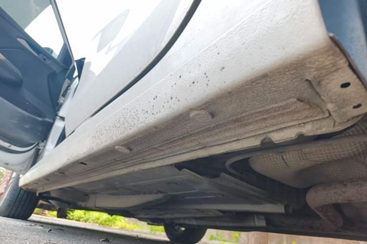 Used Chevrolet Cavalier 2019 320 Automatic Enjoyment with Sunroof Left Side Sill